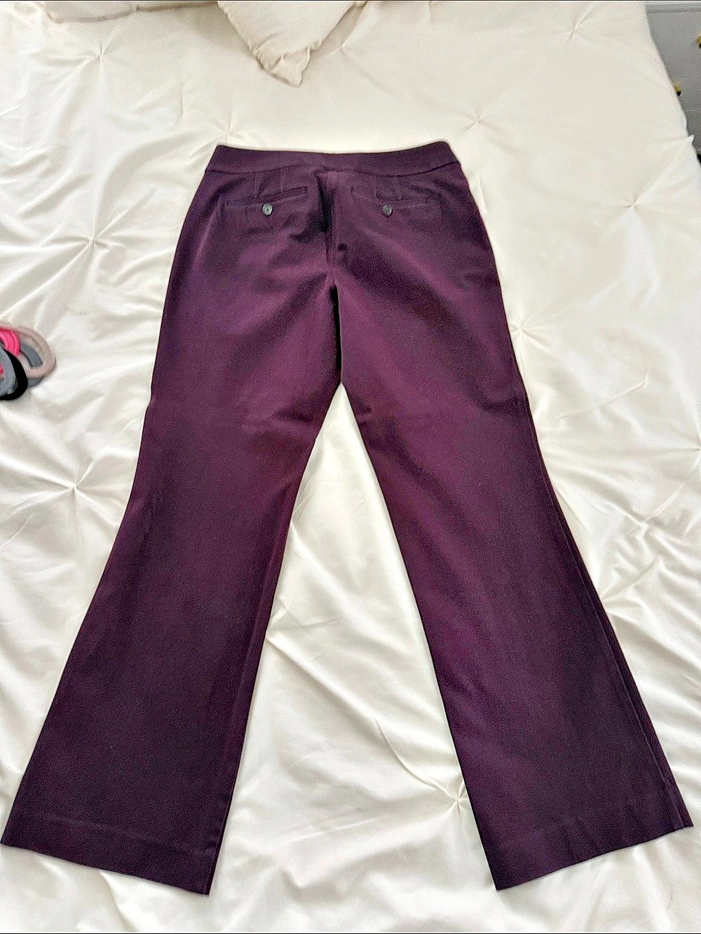 Ann Taylor LOFT Julie Boot Cut Boot Cut Pants in Purple Size 8P